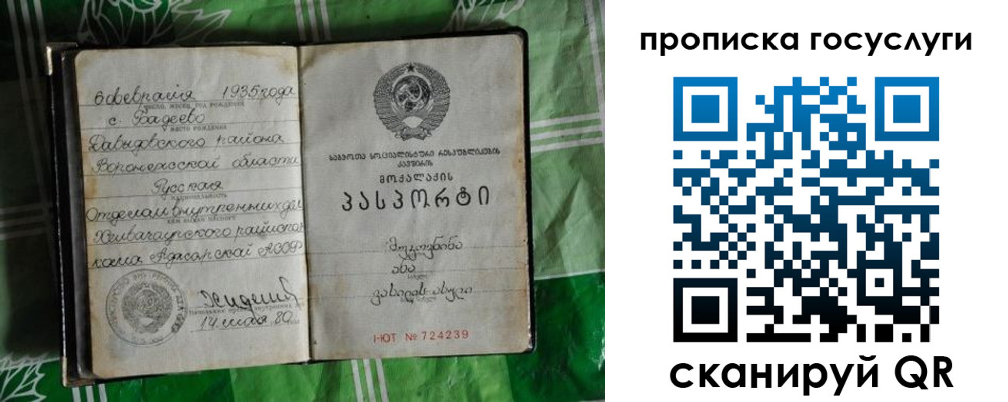 прописка паспорт в Сосновке